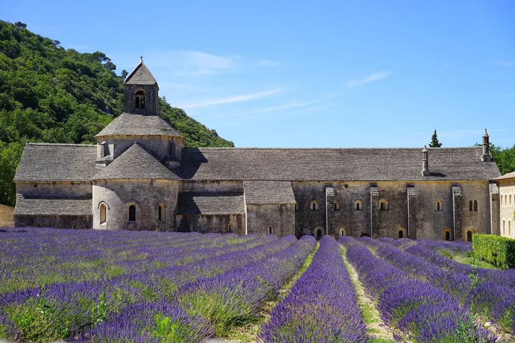 Clos du Tilleul - Abbaye de Sénanque