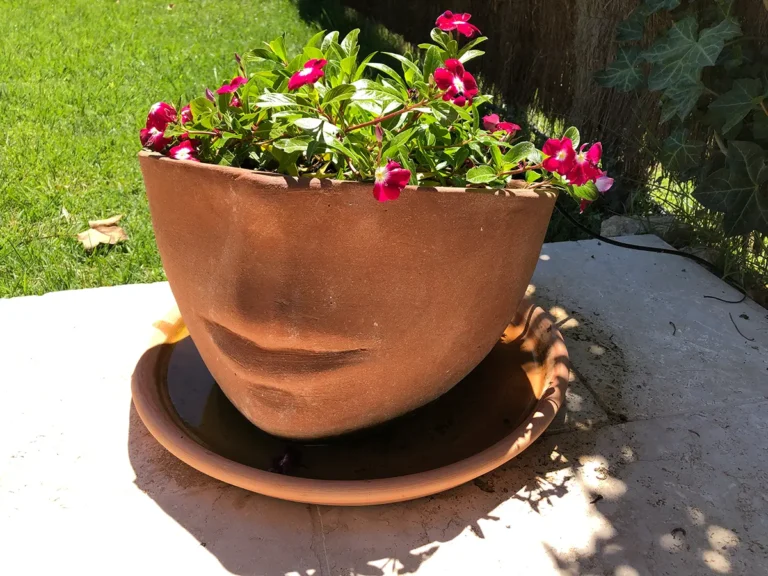 Clos du Tilleul Provence Fleurs dans pots terre cuite